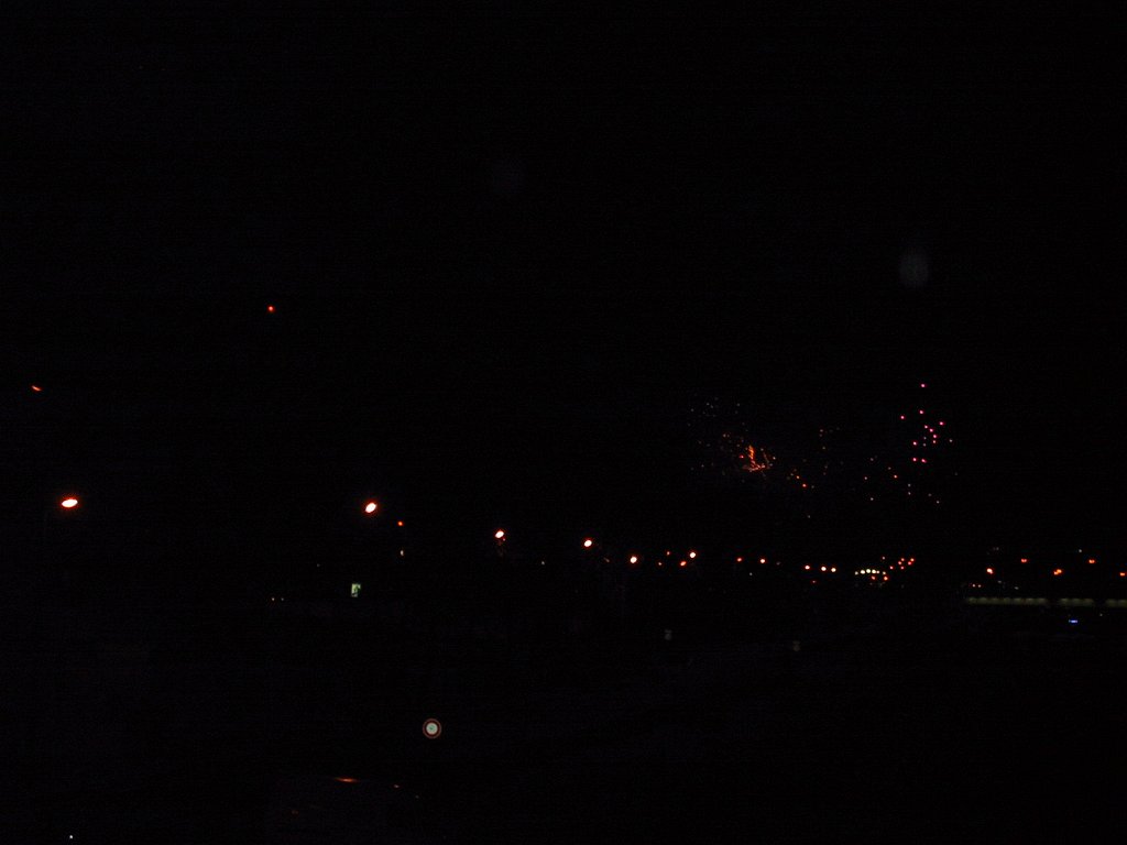IMG 0291
