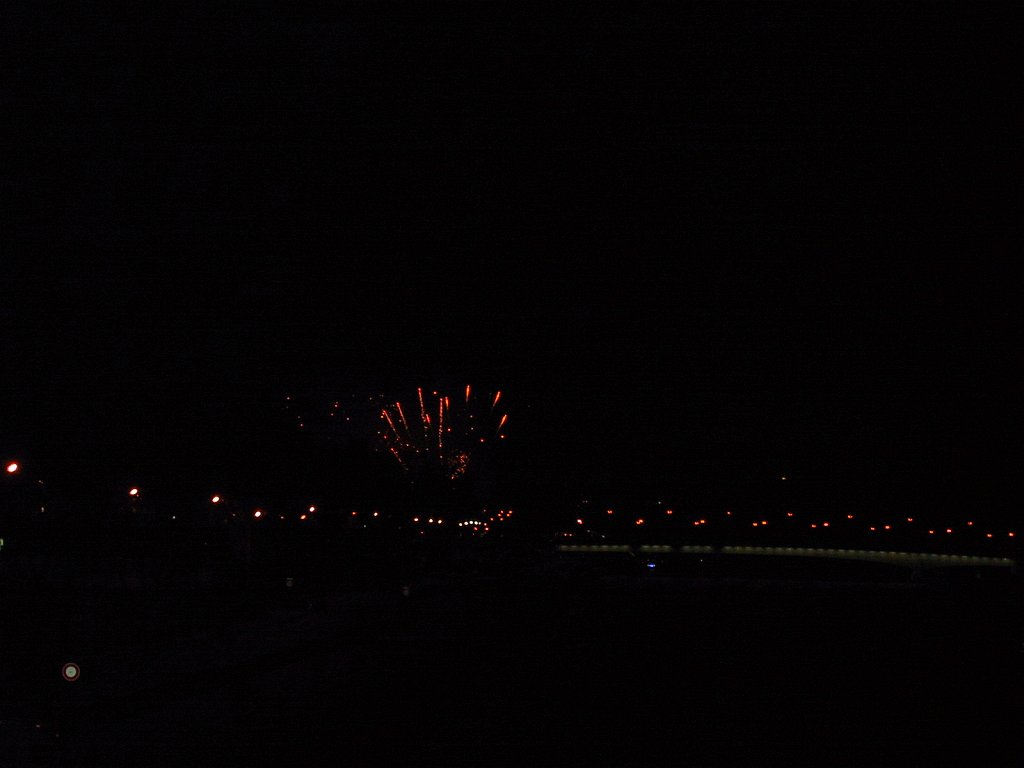 IMG 0292