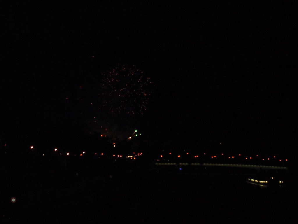 IMG 0295