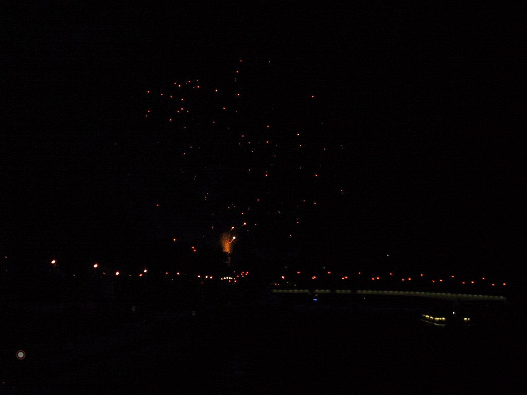 IMG 0296
