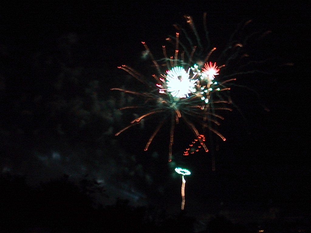 IMG 0338