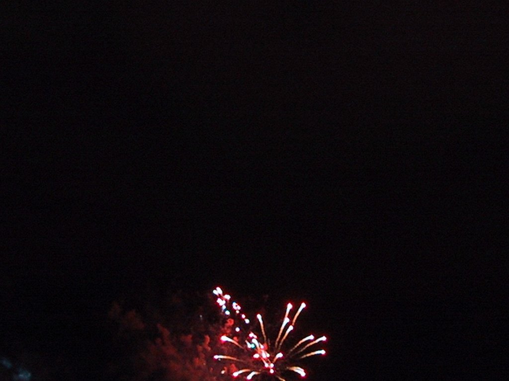 IMG 0342