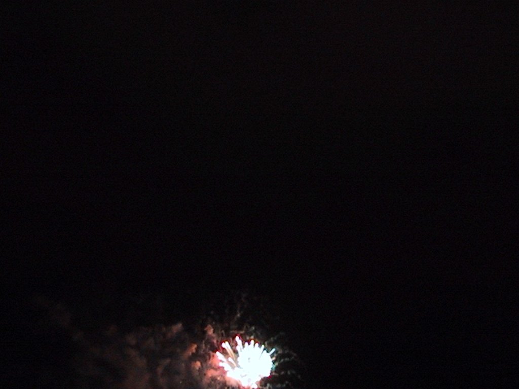 IMG 0344