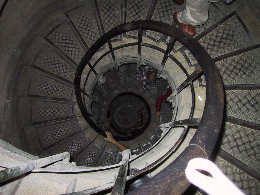 IMG 0418