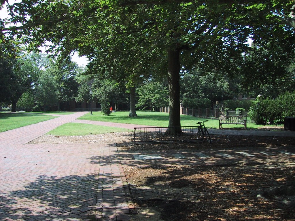 IMG 0513