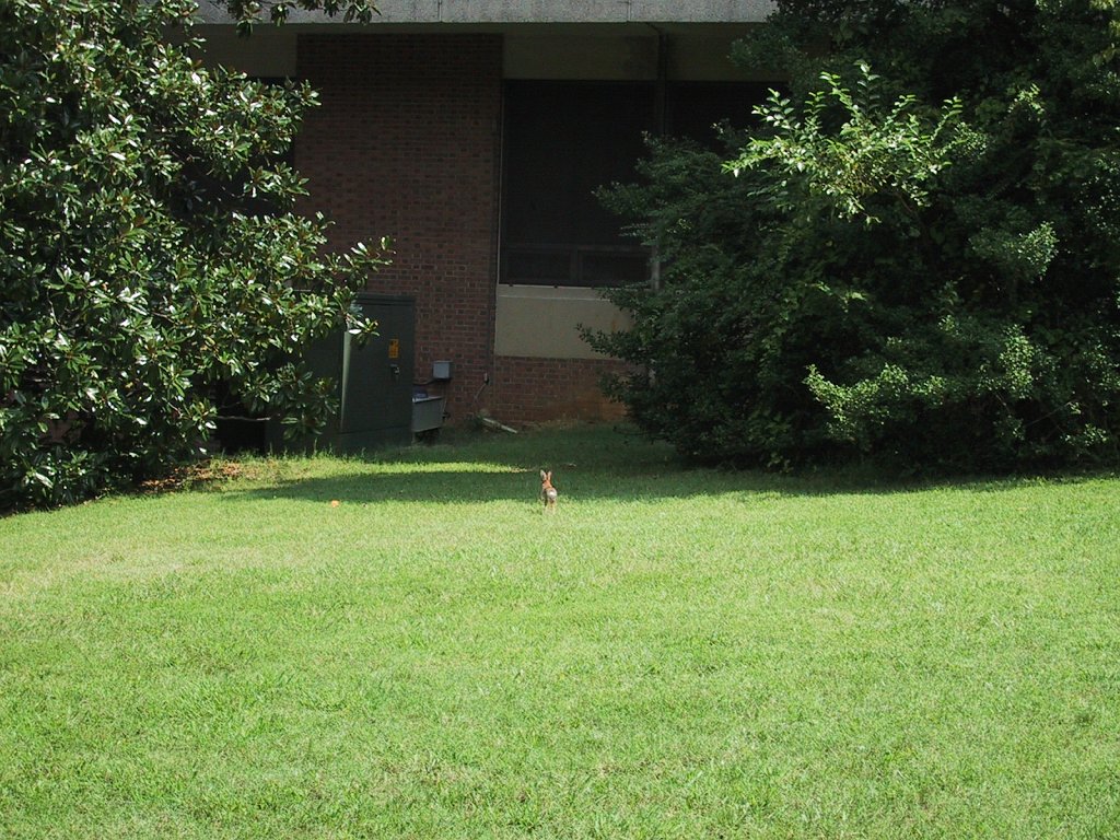 IMG 0525