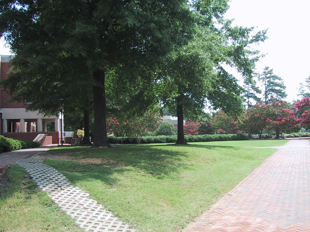 IMG 0526