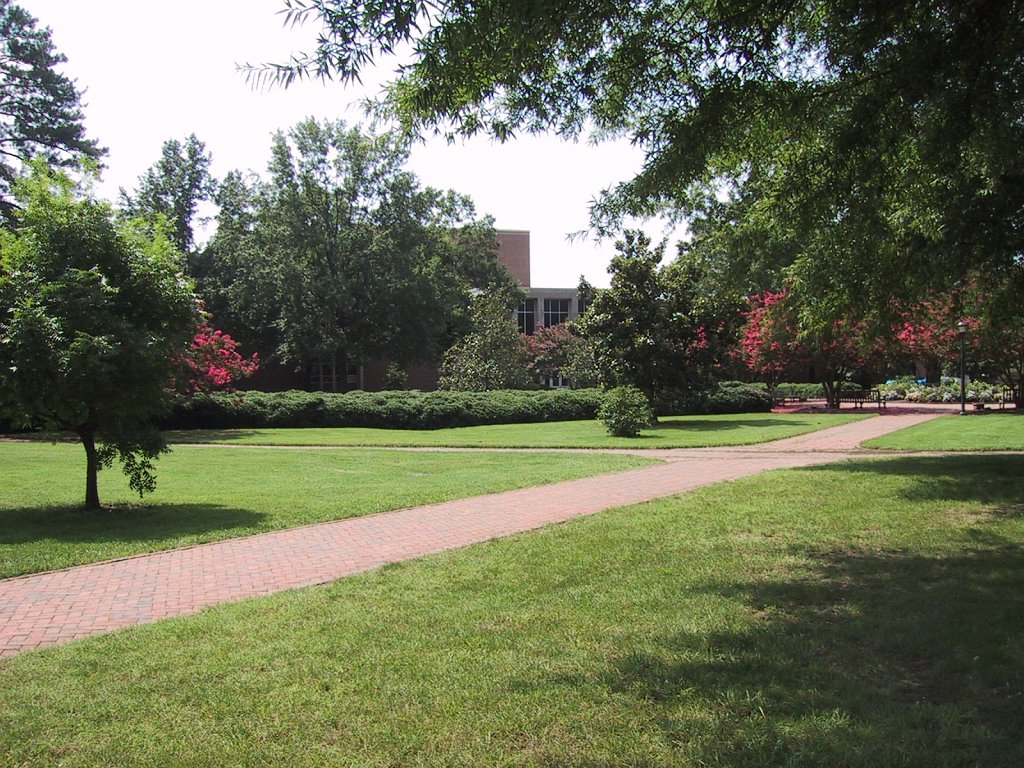 IMG 0529