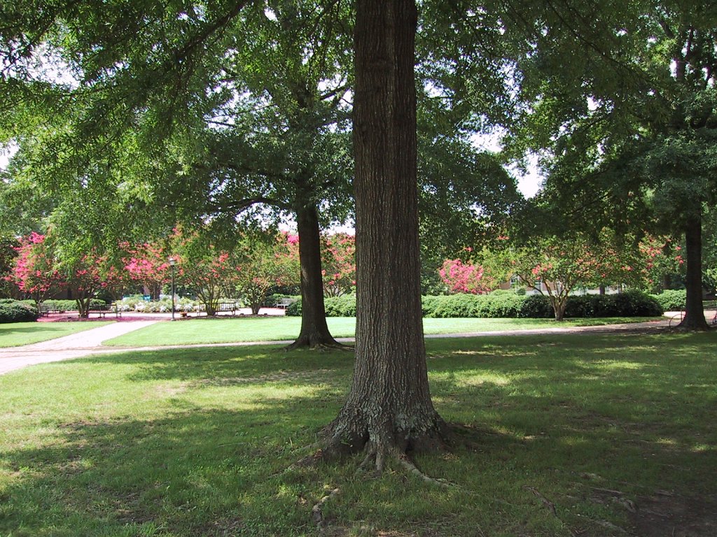 IMG 0530