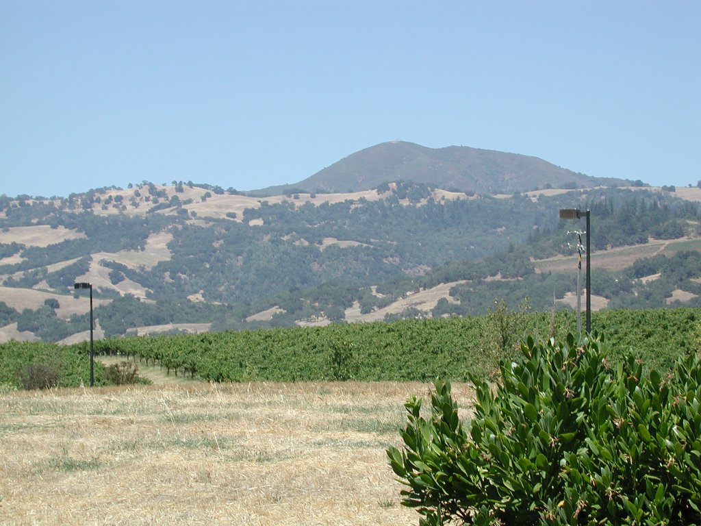 DSCN0734