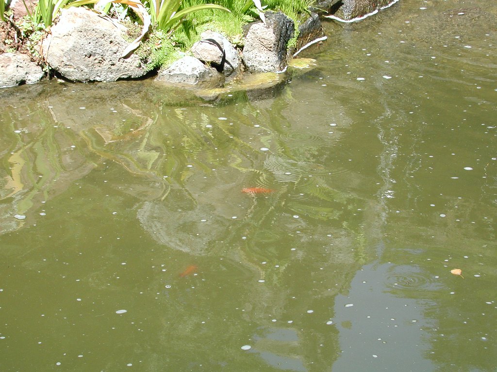 DSCN0755