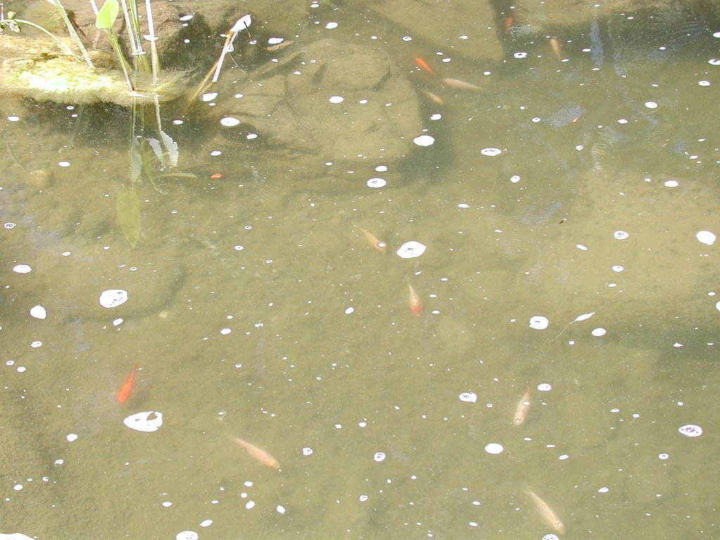 DSCN0756