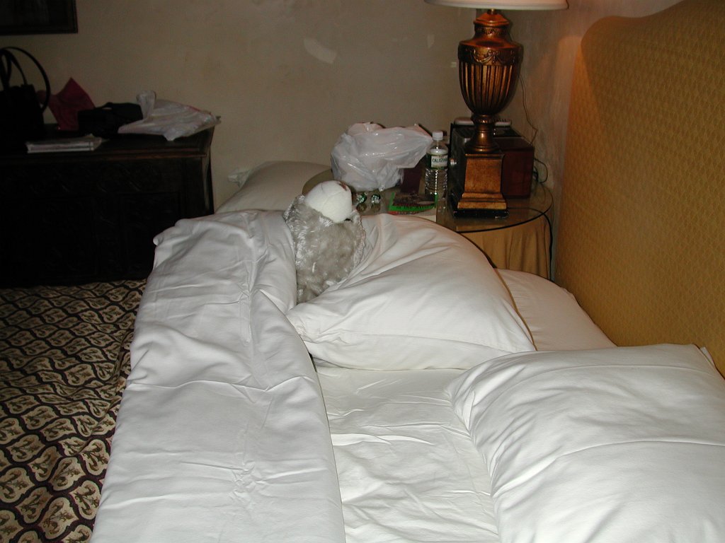 DSCN0778