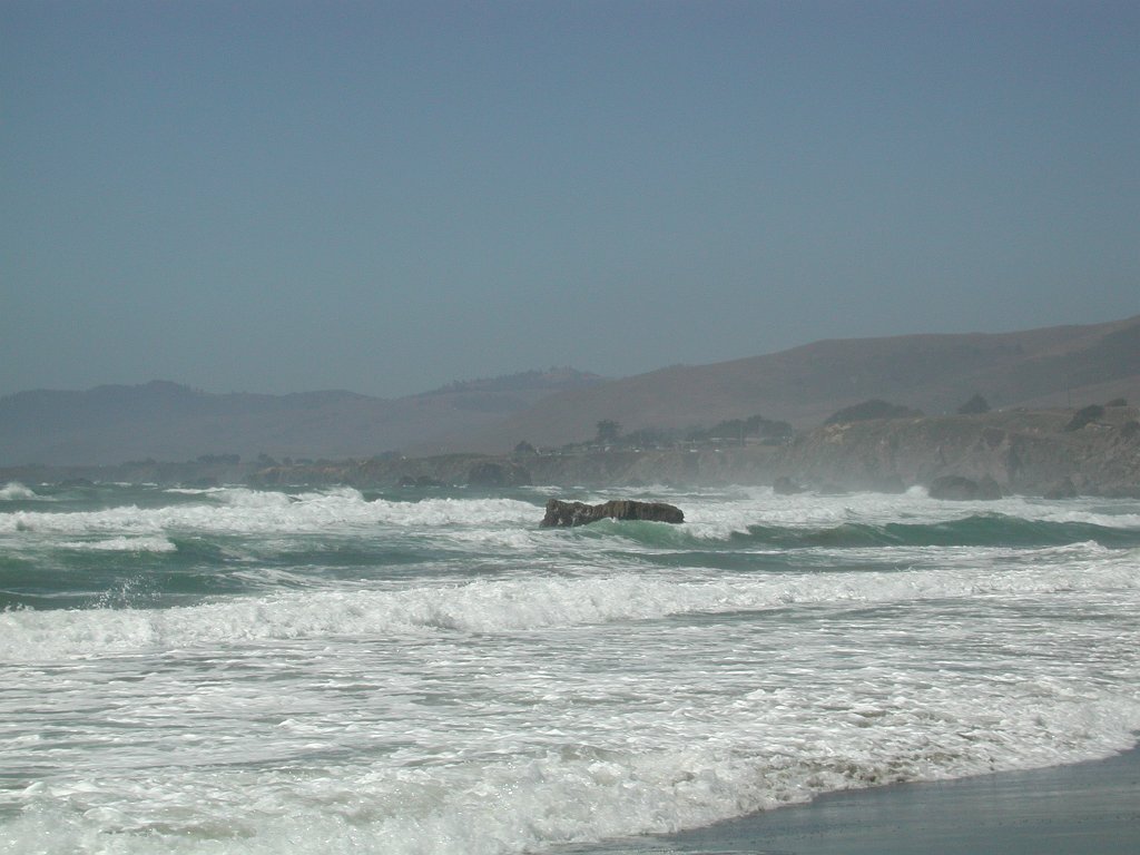 DSCN0788