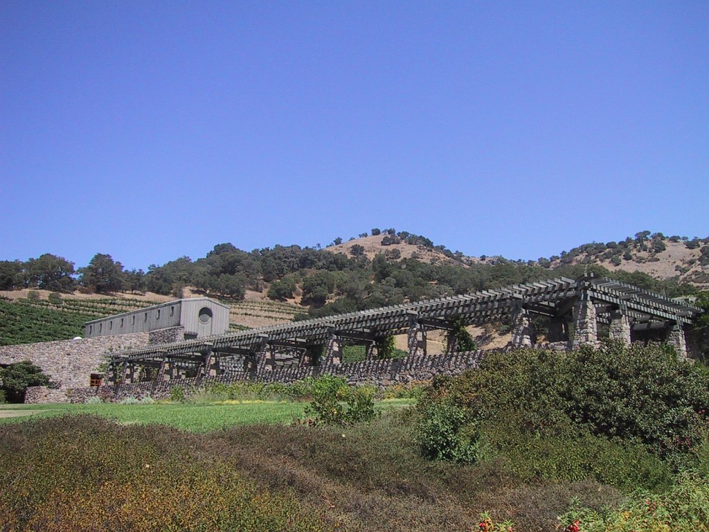 IMG 0658
