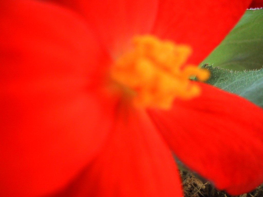 IMG 0697