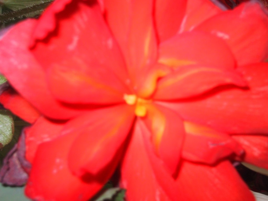 IMG 0704