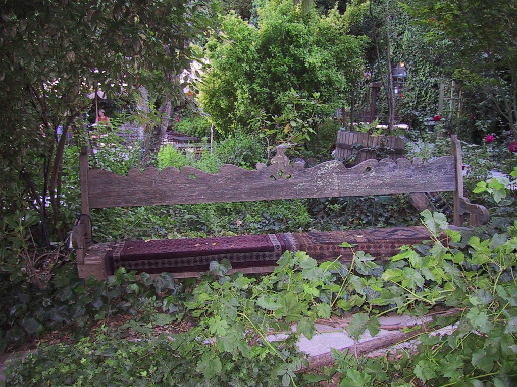 IMG 0716