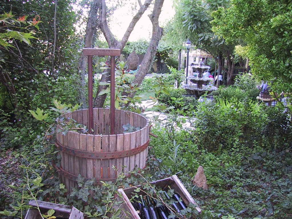 IMG 0717