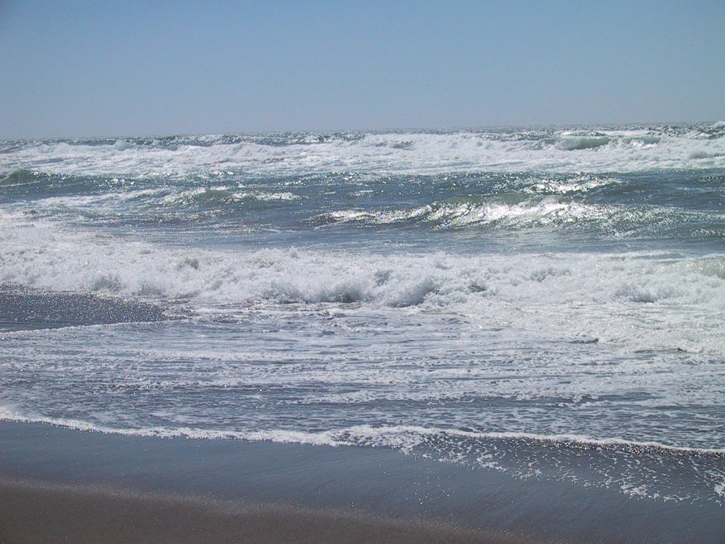 IMG 0725