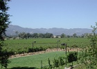 DSCN0710.jpg