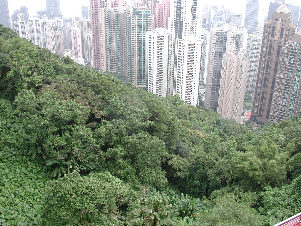 DSCN0940