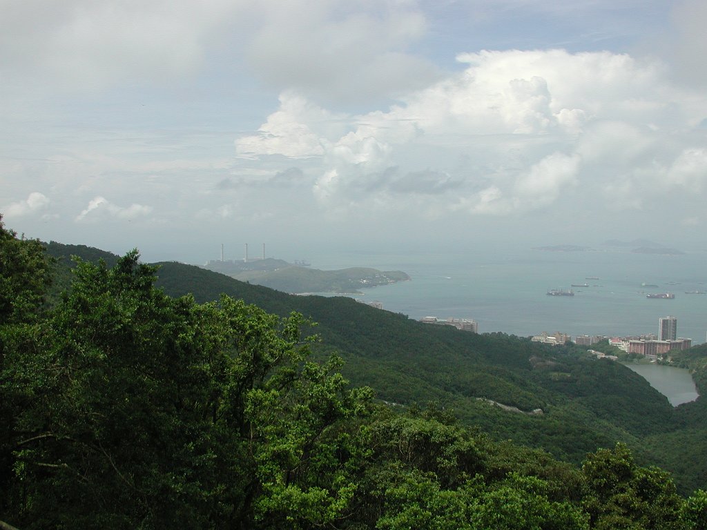 DSCN0947