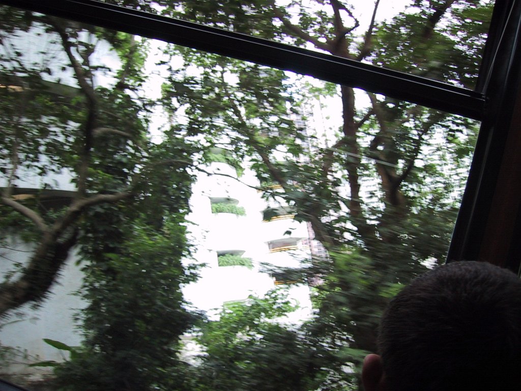 IMG 0792