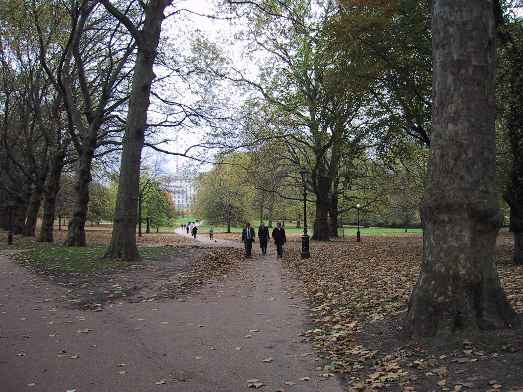 IMG 0910