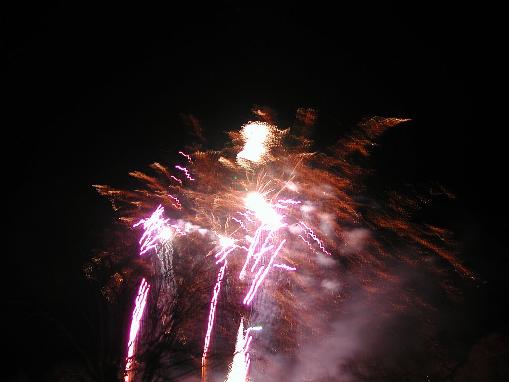 DSCN1010