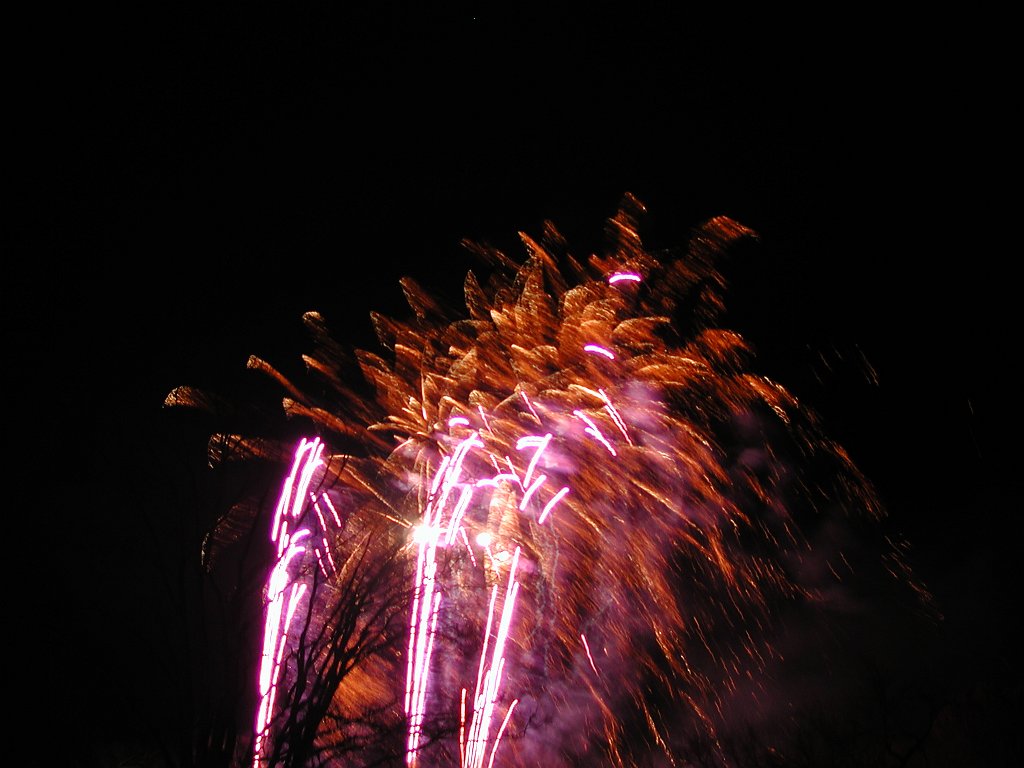 DSCN1011