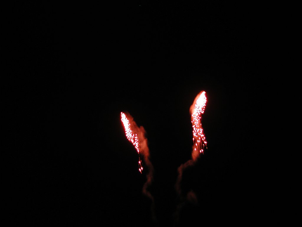 DSCN1019