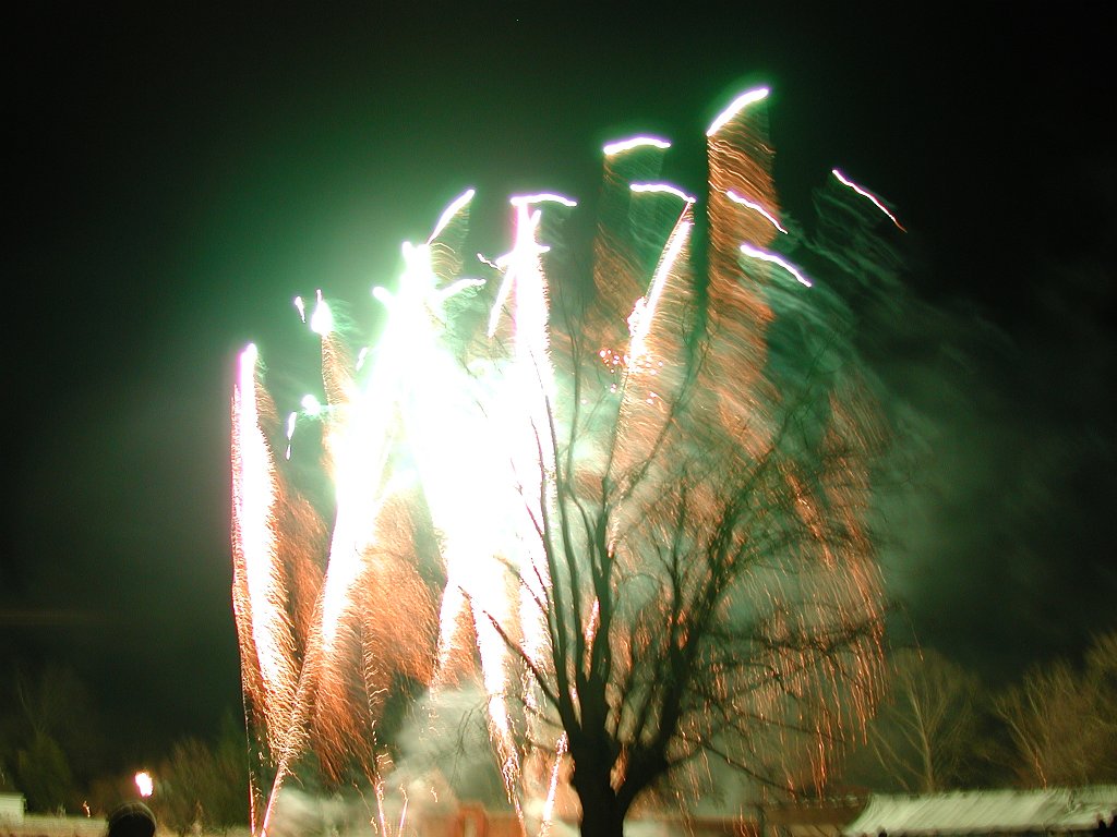 DSCN1027
