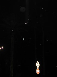 DSCN1074.jpg