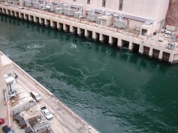 DSCN1101.jpg