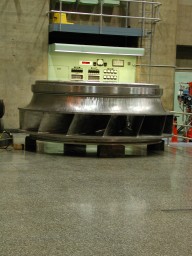 DSCN1110.jpg