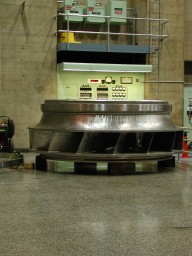 DSCN1111.jpg