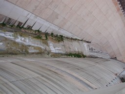DSCN1133.jpg