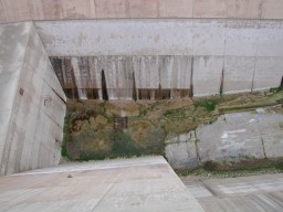 DSCN1134.jpg