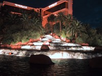 IMG_1009.jpg