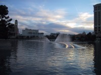 IMG_1027.jpg