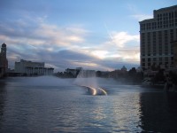 IMG_1029.jpg