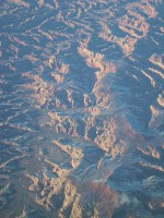 IMG_1079.jpg