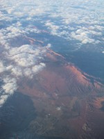 IMG_1091.jpg