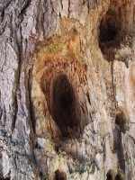 IMG_1116.jpg