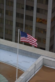 IMG_0205.jpg