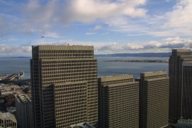 IMG_0229.jpg