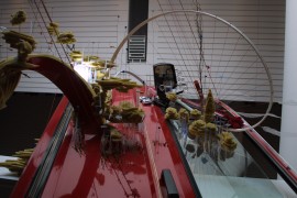 IMG_0283.jpg