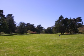 IMG_0292.jpg