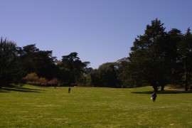IMG_0293.jpg